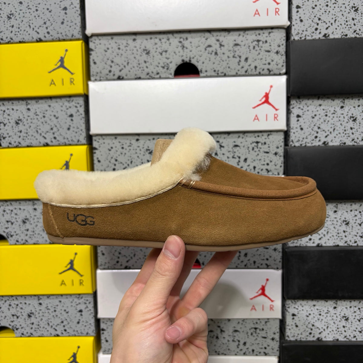 UGG Chestnut Moccasin Slippers with Cream Plush Collar
